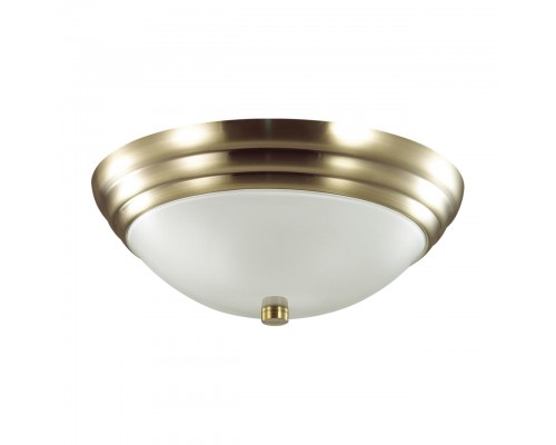 Настенно-потолочный светильник Lumion Vintage Kayla 5262/2C