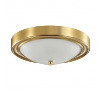 Настенно-потолочный светильник Lumion Vintage Nina 5259/2C