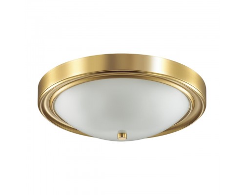 Настенно-потолочный светильник Lumion Vintage Nina 5259/3C