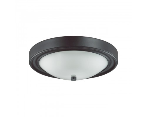 Настенно-потолочный светильник Lumion Vintage Nina 5260/2C