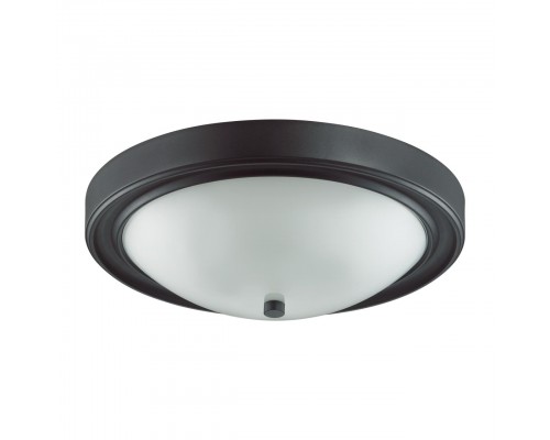 Настенно-потолочный светильник Lumion Vintage Nina 5260/3C