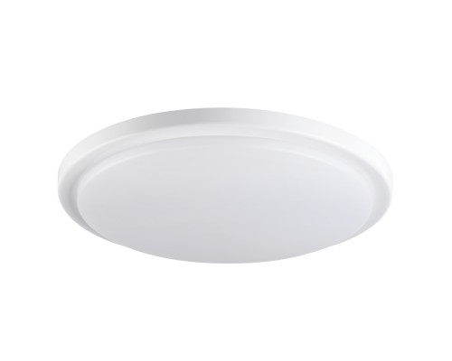 Настенно-потолочный светодиодный светильник Kanlux ORTE LED 24W-NW-O 29161