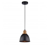 Подвесной светильник Arte Lamp Eurica A4245SP-1BK