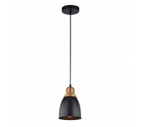 Подвесной светильник Arte Lamp Eurica A4248SP-1BK