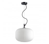 Подвесной светильник Odeon Light Pendant Roofi 4754/1