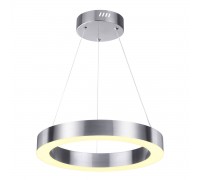 Подвесной светодиодный светильник Odeon Light L-vision Brizzi 4244/25L