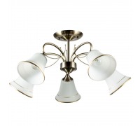 Потолочная люстра Arte Lamp Blossom A2709PL-5AB