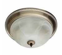 Потолочный светильник Arte Lamp 16 A1305PL-2AB