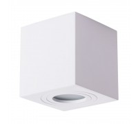 Потолочный светильник Arte Lamp Galopin A1461PL-1WH