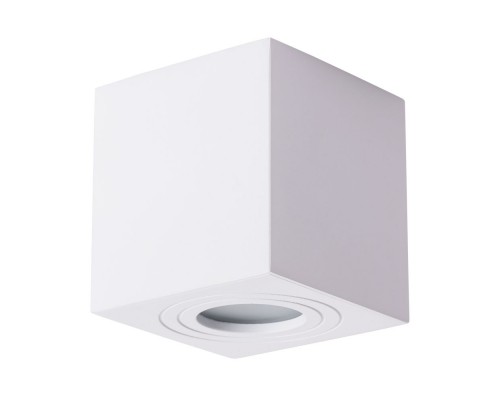 Потолочный светильник Arte Lamp Galopin A1461PL-1WH