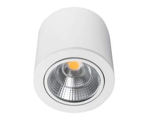 Потолочный светодиодный светильник Arlight SP-Focus-R140-30W Day White 021428