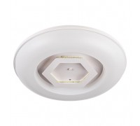 Потолочный светодиодный светильник Escada 10254/S LED