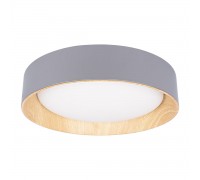 Потолочный светодиодный светильник Loft IT Coin 10202 Grey