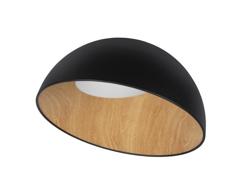 Потолочный светодиодный светильник Loft IT Egg 10197/500 Black