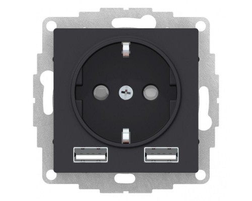 Розетка 2К+3/2хUSB Schneider Electric AtlasDesign 16A 250V Type A+A карбон ATN001030