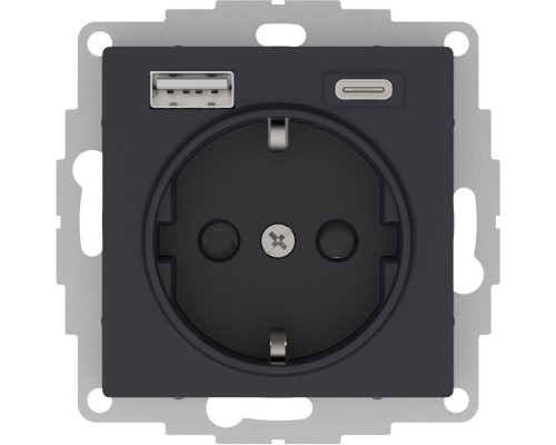 Розетка 2К+З/2хUSB Schneider Electric AtlasDesign 16A 250V Type A+С карбон ATN001032