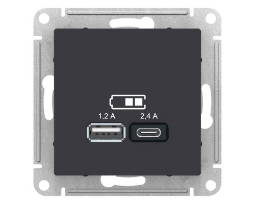 Розетка 2хUSB Schneider Electric AtlasDesign Type A+C карбон ATN001039