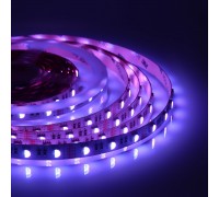 Светодиодная лента Apeyron 14,4W/m 60LED/m 5050SMD разноцветная/холодный белый 5M 00-109