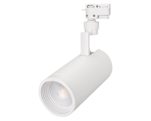 Трековый светодиодный светильник Arlight LGD-Zeus-2TR-R100-30W Day4000 025934