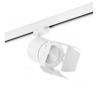 Трековый светодиодный светильник Lightstar Canno Led (301564+202996) C156496