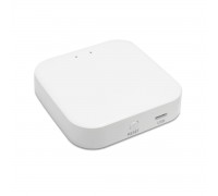 WI-FI конвертер ST Luce Skyline 220 ST015.500.97